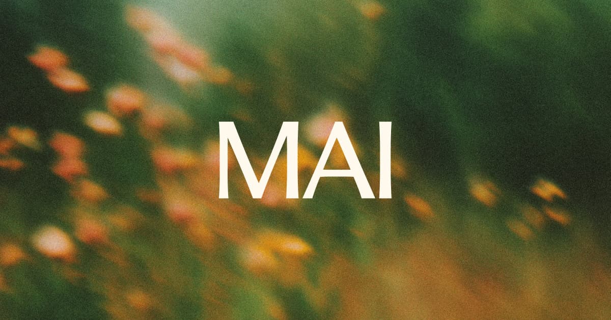 MAI-Code-1-Flash vs Claude Haiku 4.5: Microsoft's first OpenAI-free coding model, head to head cover